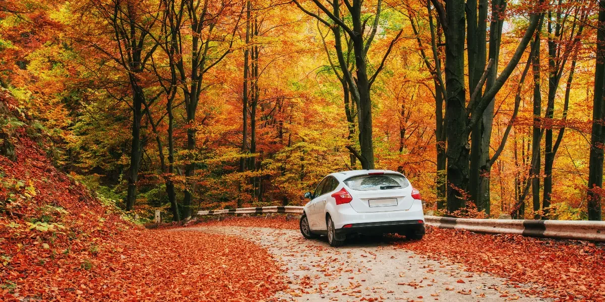 conduite une voiture en automne entretien